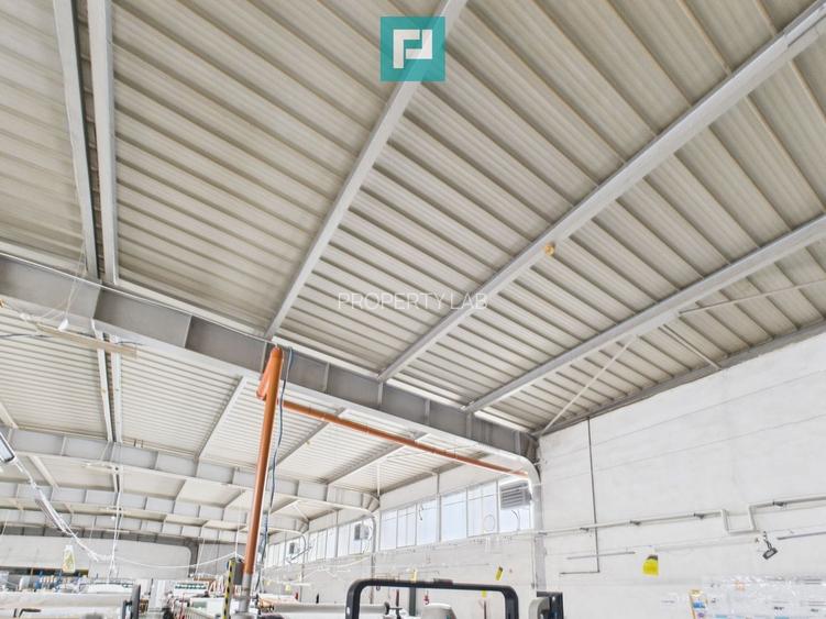 Hală cu teren intravilan de 3500 mp, în Sebiș Arad - 27