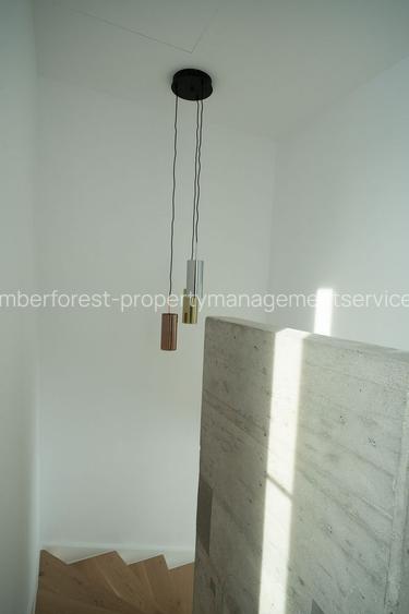 Inchiriere vila 3 camere in Amber Forest - 13