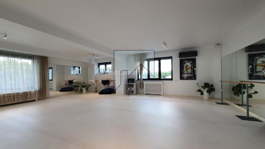 Vanzare Vila de exceptie - Domenii - 14