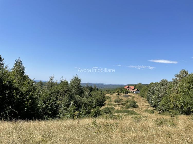 Teren Extravilan în mijlocul naturii. - 8