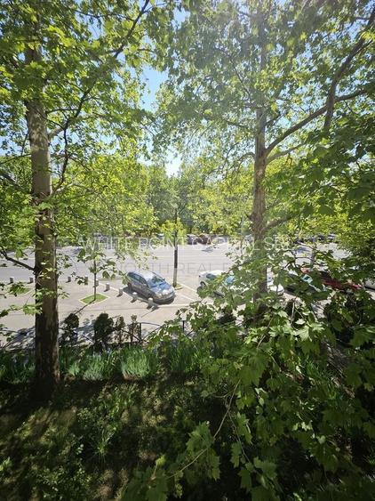 Apartament de închiriat 2 camere Tineretului | 50 mp | Etaj 1 | Vizavi de parc - 18