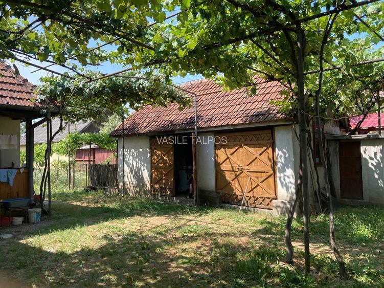Vand casa 7 camere + anexe + teren 3515 mp - 2