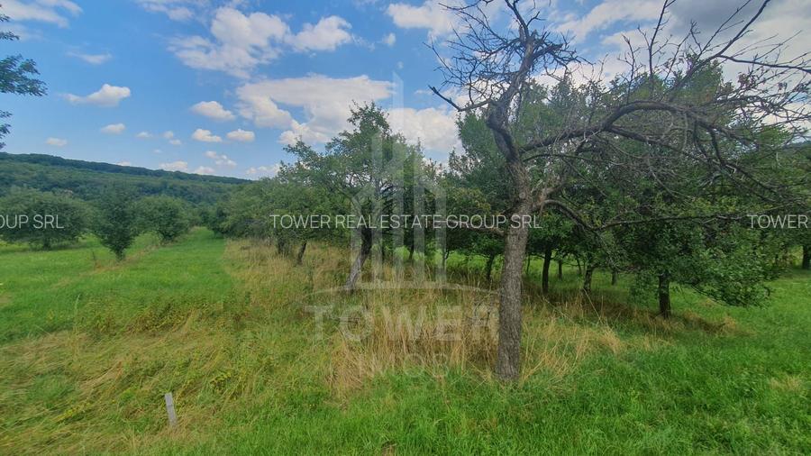 Teren de vanzare in Sibiel . - 3