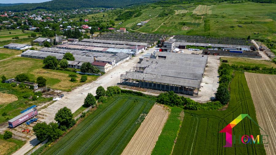Teren 100.000 mp + Spatii Industriale Bacau - 8