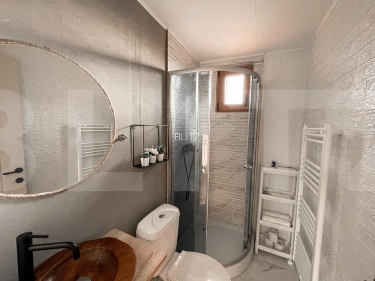 Proprietate deosebita, cabana in stil scandinav, 250 mp utili, Belis - 14