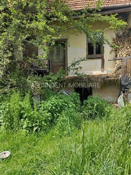 Domeniu verde autentic,  +5.000mp, front la DJ, Valcele, Brasov -- Covasna - 9