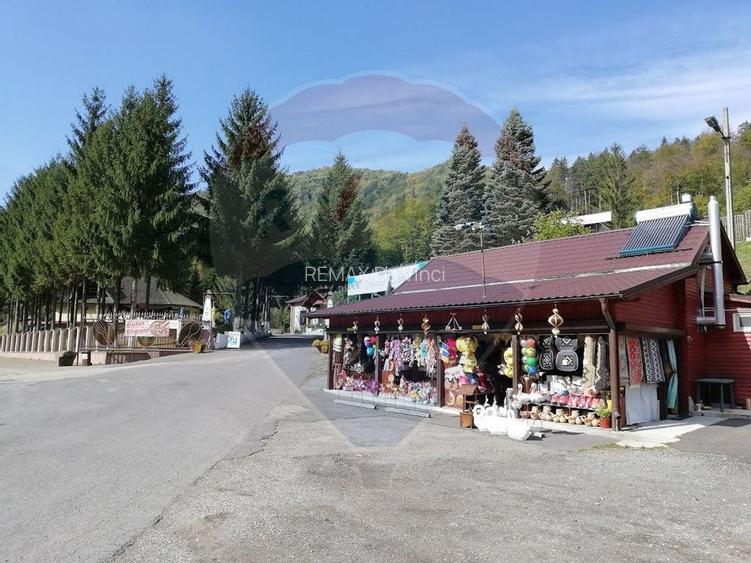 Oportunitate rară in România! Complex turistic Poiana Sărată si pădure - 10