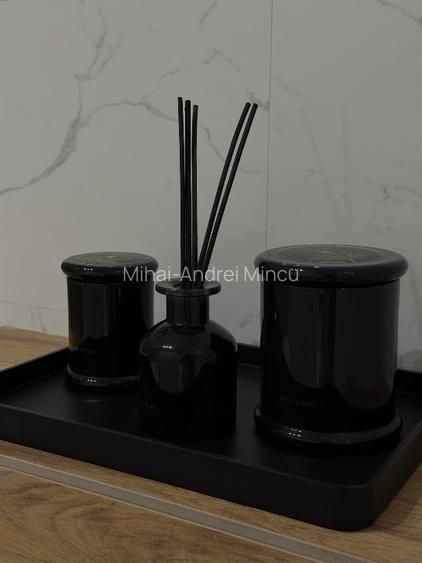 Apartament 2 camere zona Herastrau - 11