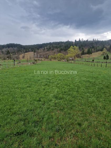 Vindem teren in Vatra Moldovitei - Bucovina - 8