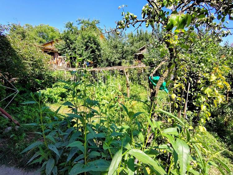 Casa unifamiliala 120 mp utili,  cu 477 mp teren, garaj, Dambul Rotund