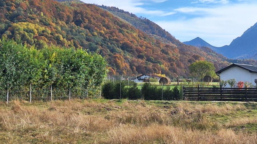 Teren 1000mp cu PUZ in Rasnov, Glajerie