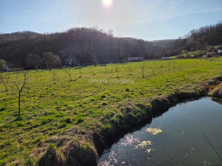 Vand teren intravilan cu livada de gutui - 3