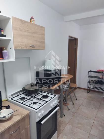 Apartament 1 camera de inchiriat, Medicina, Timisoara - 5