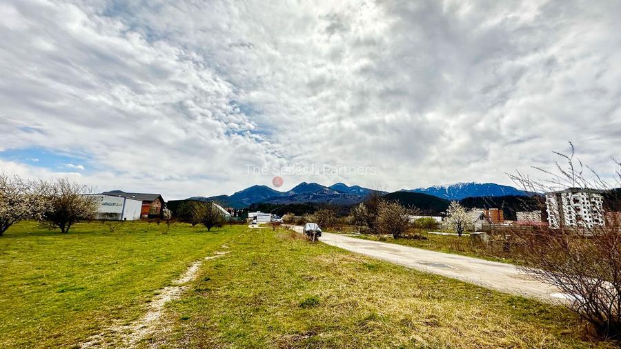 Teren Intravilan Zona Rezidentiala - 7