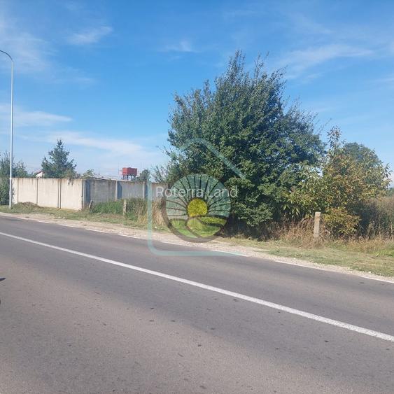 TEREN STUPINI BRASOV - 7