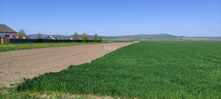 Land for construction, 