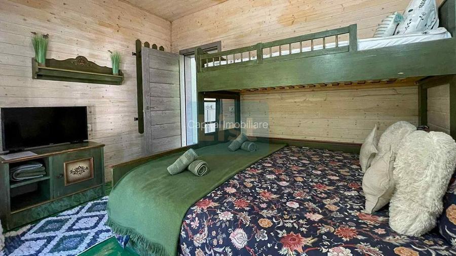 Casa de vacanta superba in Crivaia - 15