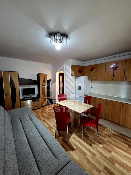 Apartament cu 2 camere, de inchiriat, Pet Friendly,Girocului-Timișoara - 6