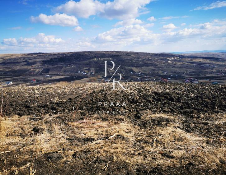 Teren extravilan, 4940 mp, zona Dealul Fanatelor! - 4