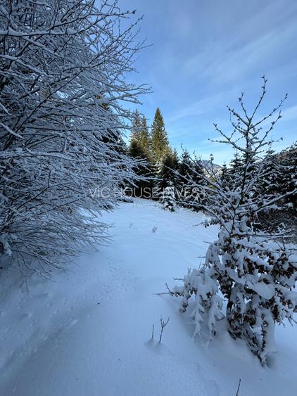 Teren Cioplea Predeal - 6