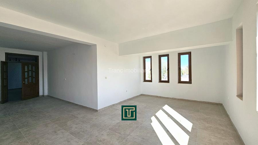 Proprietate multifunctionala - teren generos, cladire si hala in Lugoj - 11