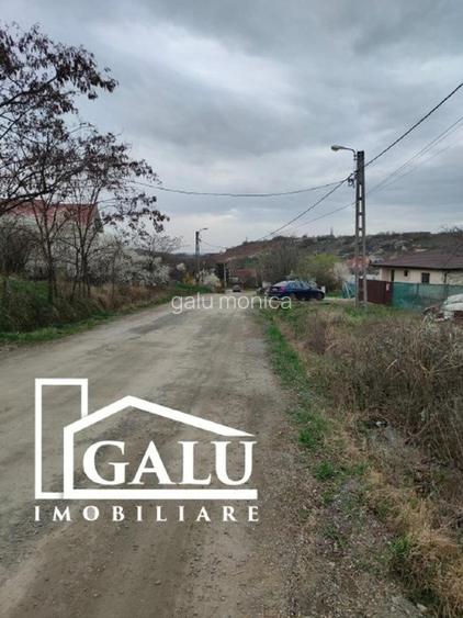 Teren intravilan 3245mp Livezilor, Dealuri Oradea - 2