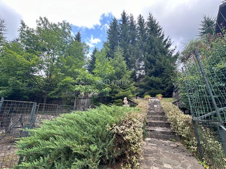 Azuga - Strada Garbovei - 6