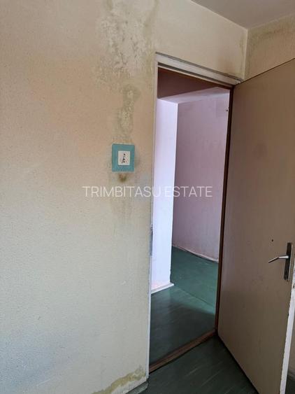 2 Camere cu Potențial Mare, Aleea Pricopan - 8