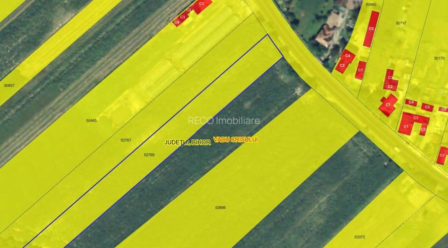 RECO teren intravilan Topa de Cris - 4
