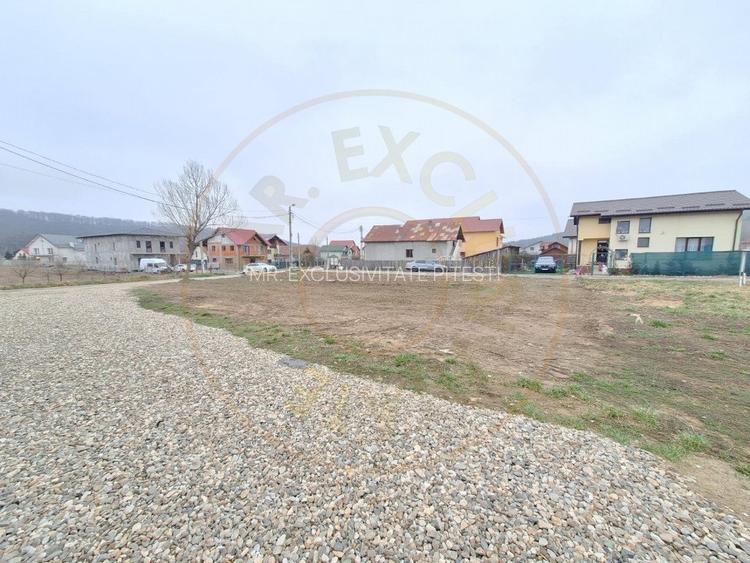 Teren 500-800 mp Braileni-Valea Ursului parcelabil - 3