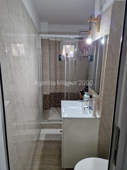 Apartament cochet zona Take Ionescu-cu centrala gaz, mobilat și utilat - 20