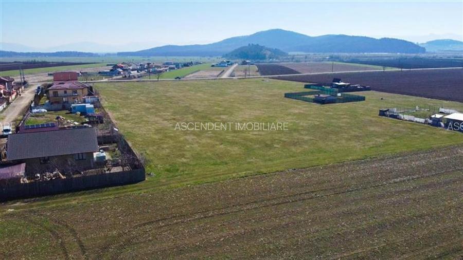 Teren intravilan 18.200mp, cu PUZ si PUD, ideal constructi case, Bod, Brasov. - 21