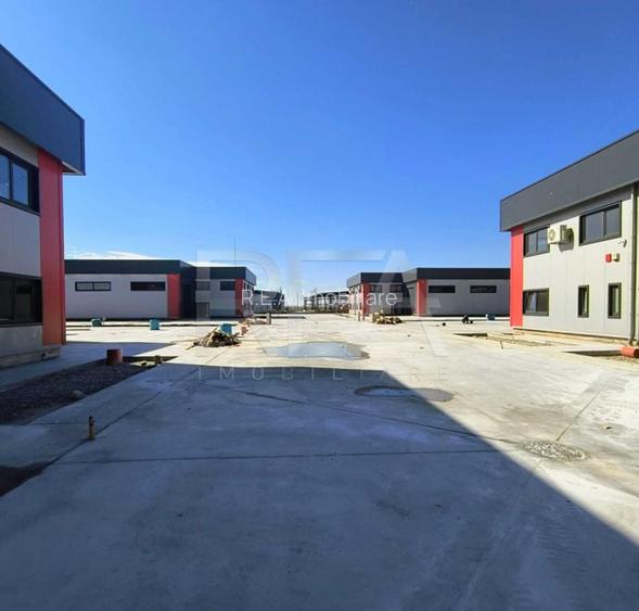 Hale noi de inchiriat Domnesti / Centura  - 4