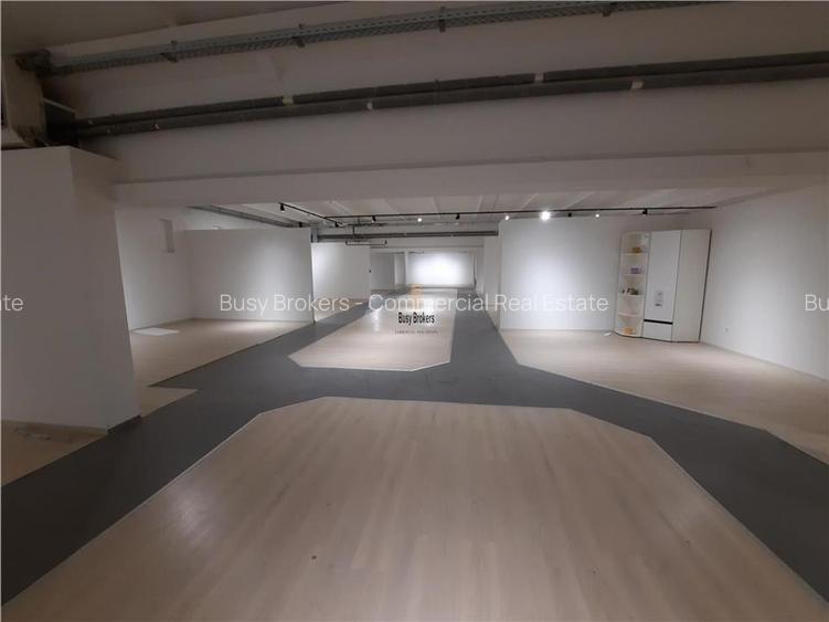 Spatii Comerciale - 500 mp - Showroom - Comert - 11