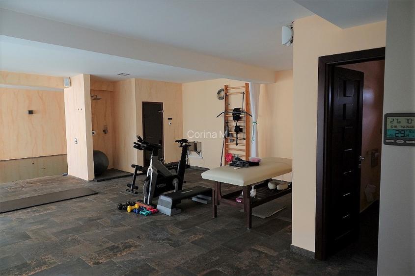 Casă deosebită pe malul lacului, cu piscină interioară  – Palazu Mare, Constanța - 5