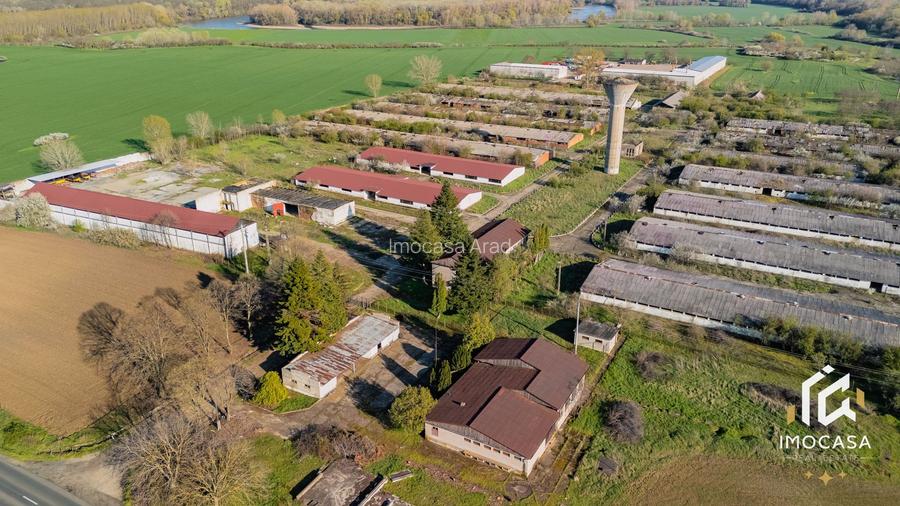 De vanzare Complex Zootehnic Suine Jud. Arad SU 15.30ha, Ferma, Grajd - 6