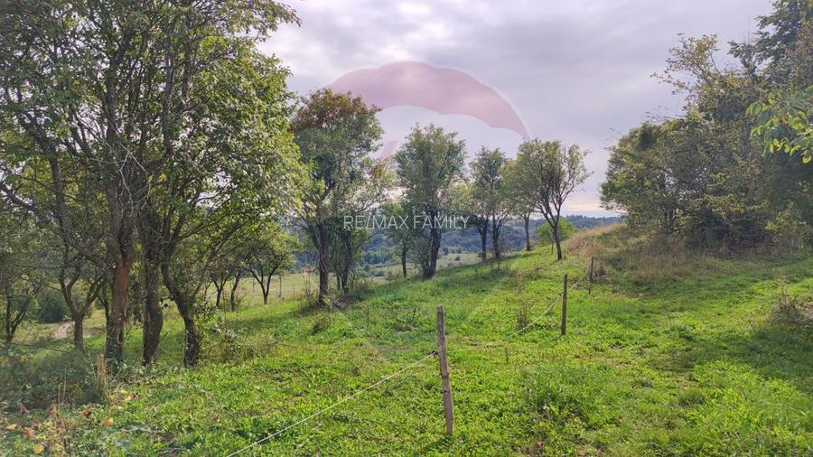 Teren intravilan constructii 3082 mp Damis Bratca drum DJ 764D - 5