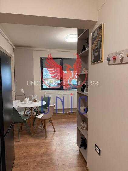 Garsoniera mobilata si utilata, Aristizza Romanescu - 9