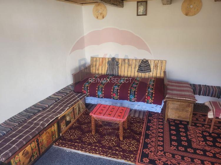 Vânzare casa la munte - zona turistica - Baia de Fier - 21