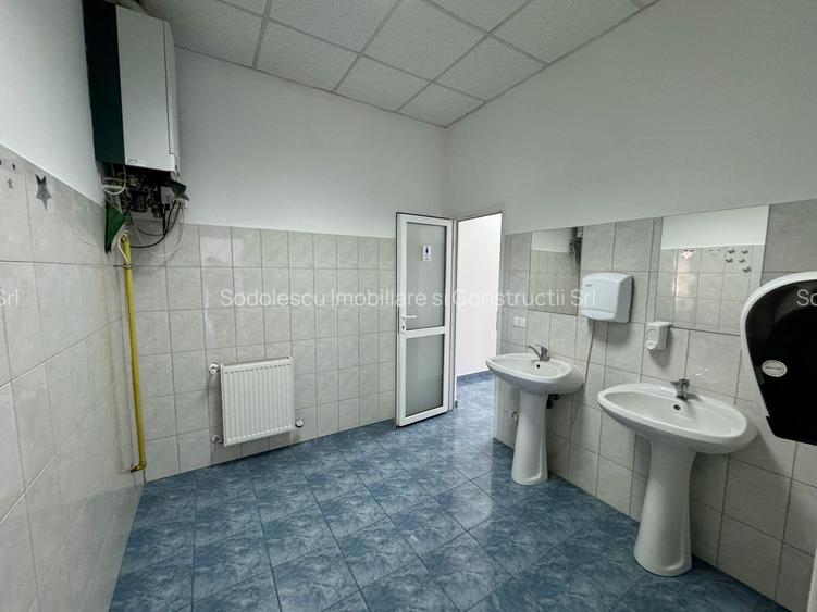 Clădire SAD de închiriat, situată la intrarea în Dumbrăvița - 32