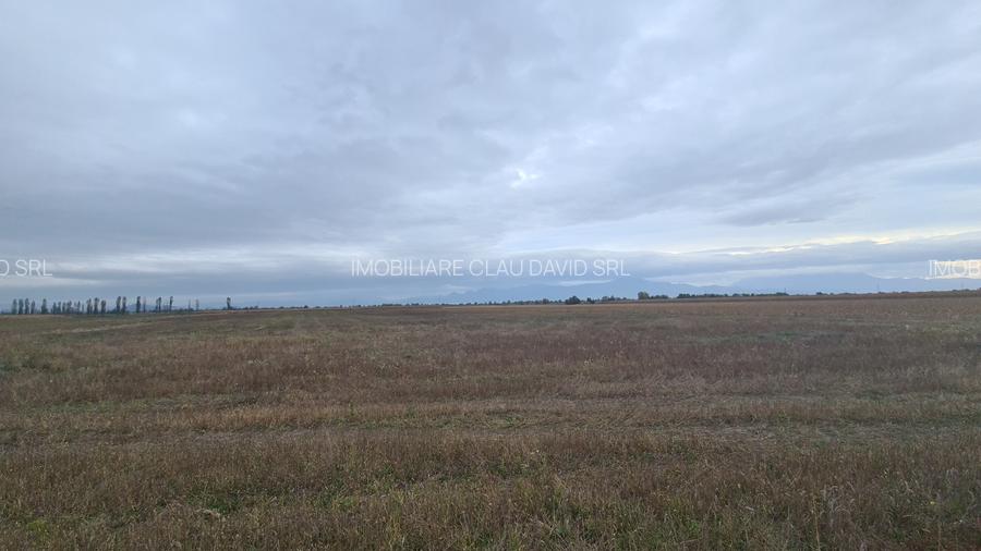 Oază de Natură și Potențial: Teren de 48.100 mp lângă Delta din Carpați - 13