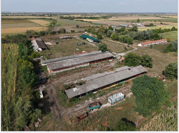 Spatiu multifunctional Salonta - 8