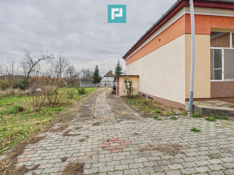 CONAC IMPRESIONANT ÎN GHIOROC - 52