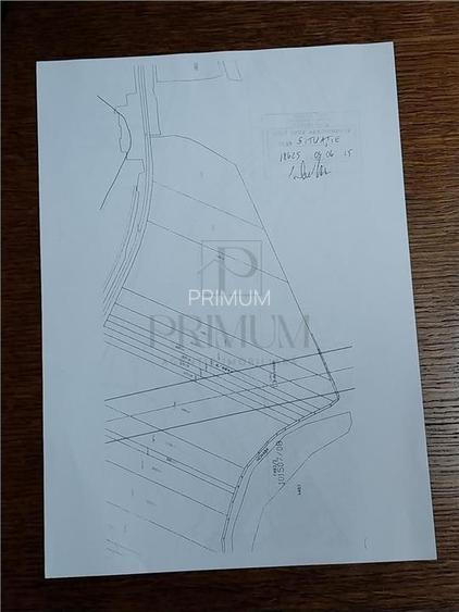 Teren arabil - 47732 mp - 2