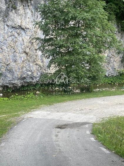Teren Investiție Turistică Dâmbovicioara Baranga | 4.500 mp - 13