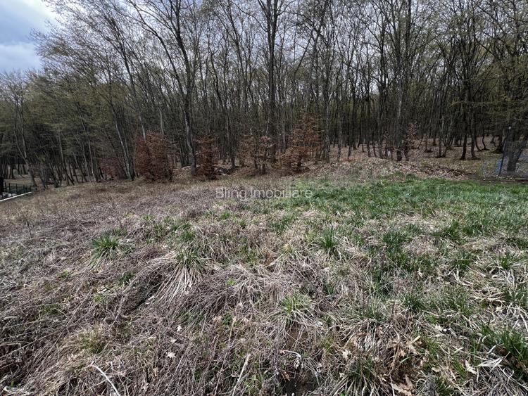 Teren Intravilan, 500mp, zona ANL - 2