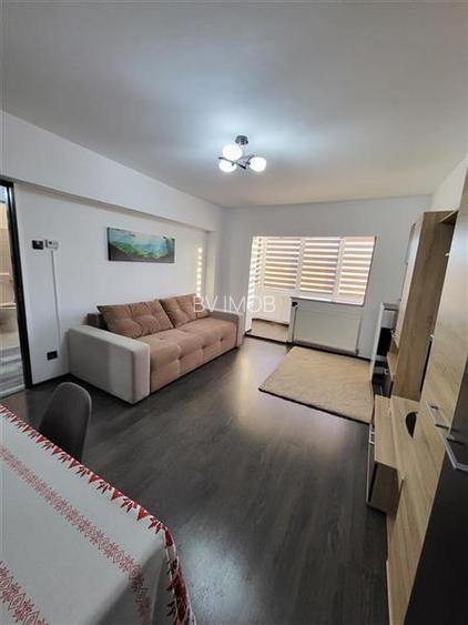 Inchiriere garsoniera decomandata, zona Craiter,renovata,mob utilata - 4