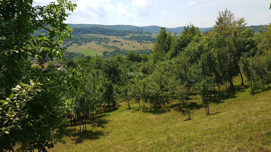 24.141 mp 1h30' de Bucuresti -  ideal casa sau complex retreat - 2