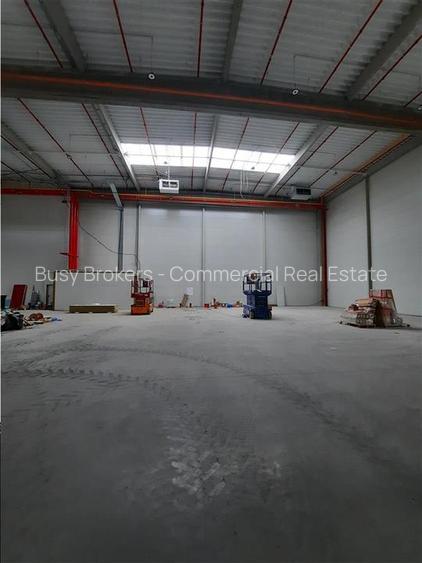 Spatiu Industrial - 5300 mp - Logistica - Productie - Depozitare - Distributie - 4