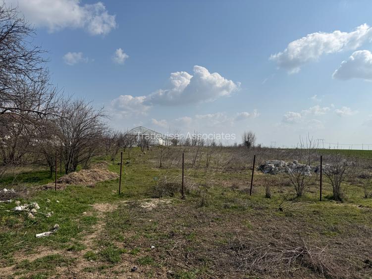 Teren intravilan 4.990 mp – Frumușani, zona Pasărea | Deschidere 22,5 m - 3